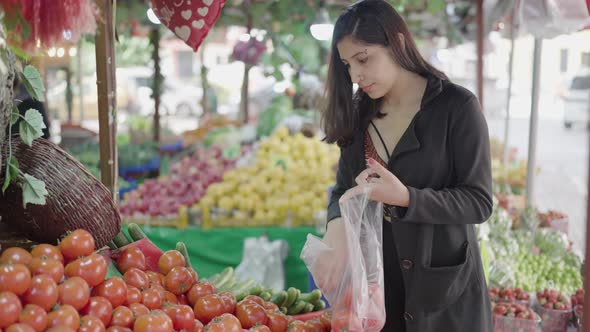Young attractive woman shopping at the greengrocer choosing tomatoes