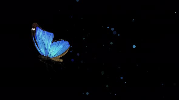 Blue Butterfly Particle 02