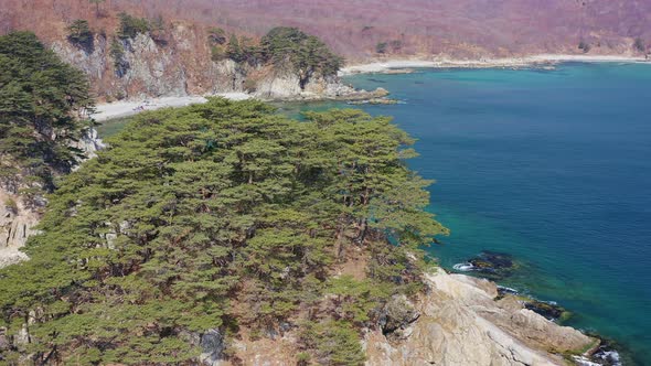 Rocky Island Washed By Waves Covered with Coniferous Trees in a Sea Bay