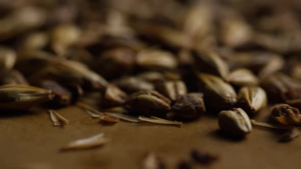 Rotating shot of barley and other beer brewing ingredients - BEER BREWING 110