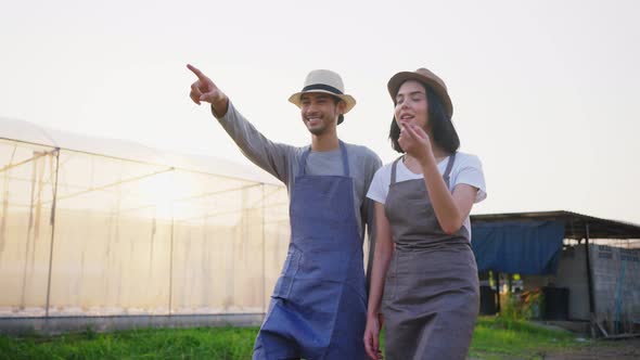 Happy two Asian couple farmers owner working in vegetables hydroponic farm with happiness.