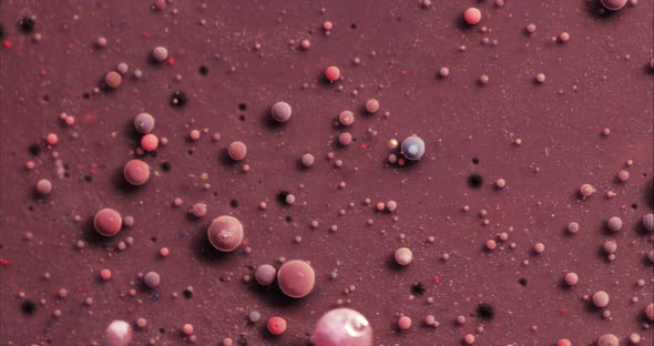 Amazing Multicolored Pink Bubbles of Paint on the Oil Surface. 