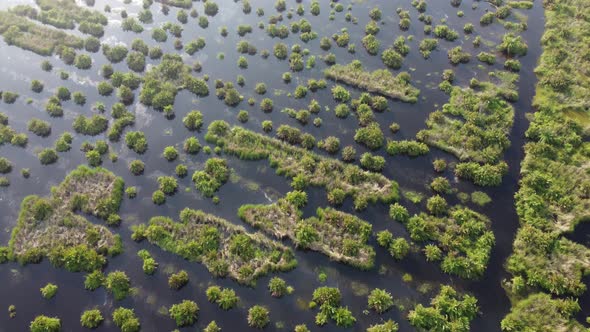 Aerial view wetland Batu Kawan with flooded water