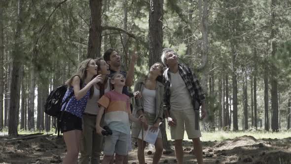 People in forest admiring view