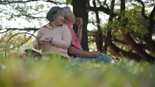 Asian elderly couple are relaxing in the garden