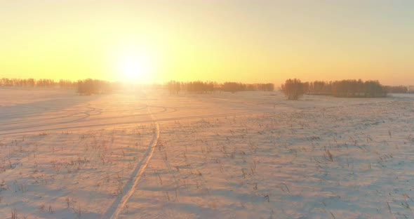 Aerial Drone View of Cold Winter Landscape with Arctic Field Trees Covered with Frost Snow and