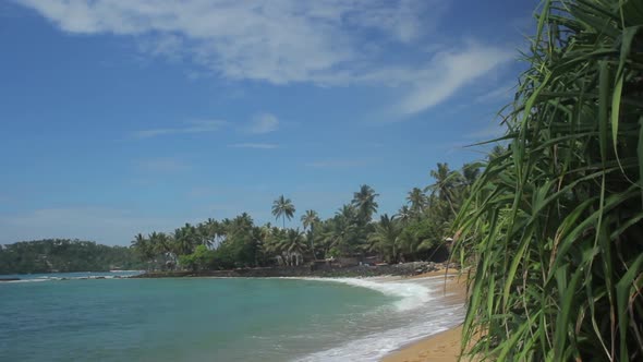 Sri Lanka Ocean Seascape Sea Shore. Landscape.