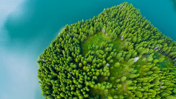 Aerial view of a mountain forest lake. Forest and lake border. Coastline view from the drone.