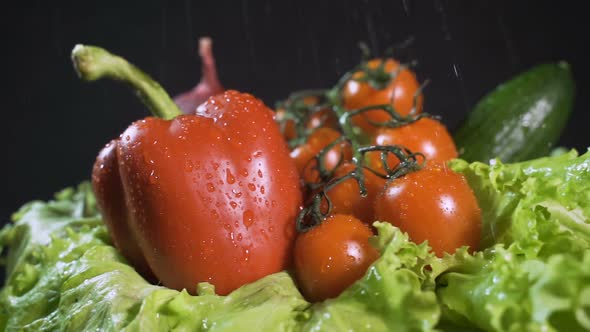 Water Splashes Fall on Fresh Vegetables - Red Pepper, Lettuce, Tomatoes, Cucumber