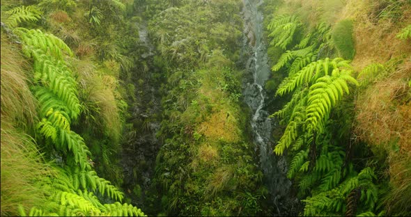 The Fog Over the Multicolored Plants Covering Steep Slopes