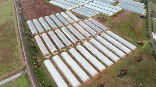 Greenhouses made of polyethylene film,  low plastic hothouses are cover and protection for plants