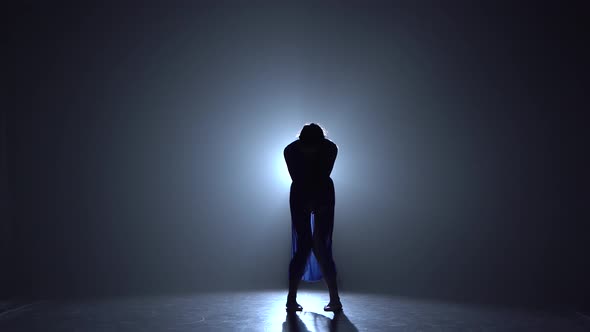 Professional Elegant Ballerina Is Dancing Elements of a Modern Ballet