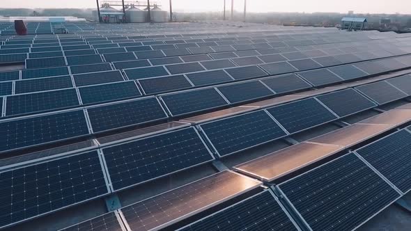 Solar energy farm at sunset. Modern photovoltaic panels