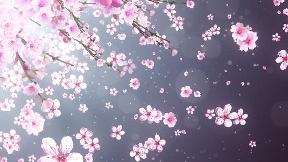Pink Cherry Blossom alt