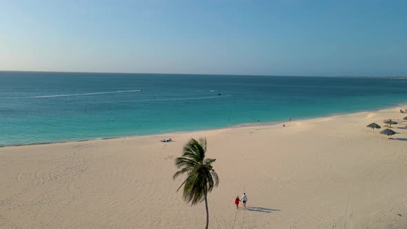 Palm Beach Aruba Caribbean White Long Sandy Beach with Palm Trees at Aruba Man and Woman Relaxing on