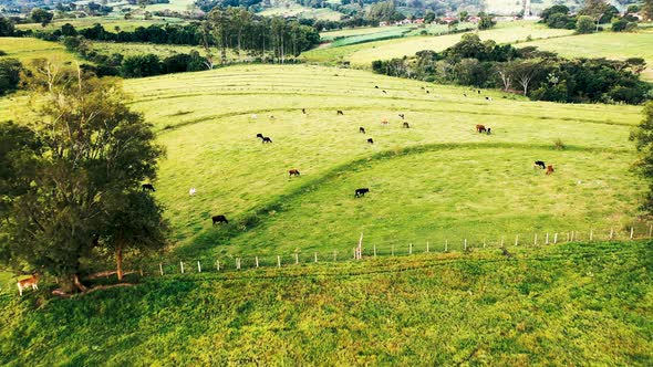 Countryside scenery aerial view. Rural landscape.