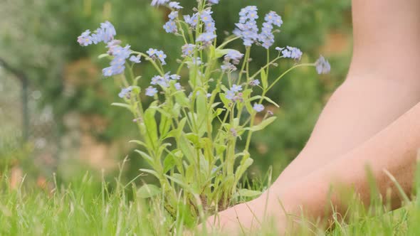 Woman plants a forget-me-not flower on a green lawn