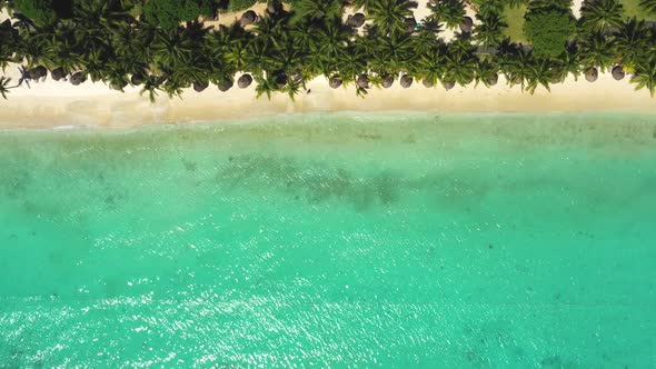 Luxury tropical beach in Mauritius. Beach with palms and blue ocean. Aerial view. Amazing Trou aux B