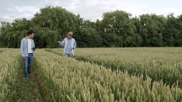 Two Farmers Having Talk and Noting on Tablet While Examining Wheat Crop in Field