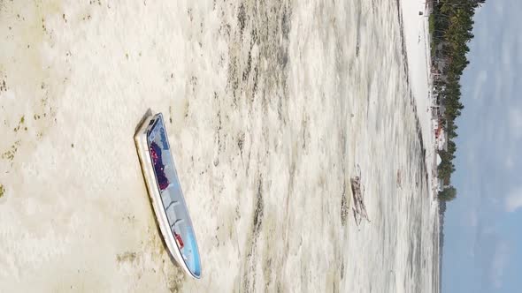 Zanzibar Tanzania  Vertical Video of Low Tide in the Ocean Near the Coast Slow Motion