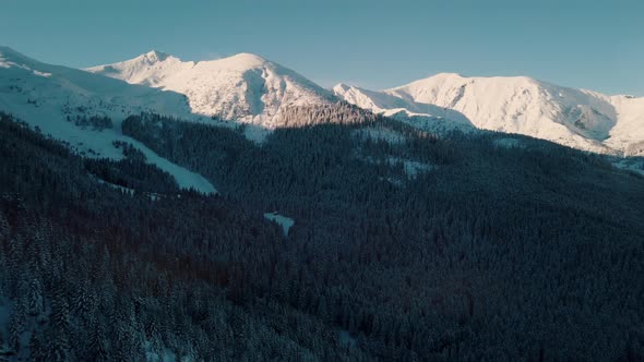 Winter Forest With SnowCapped Mountains In The Background Against Clear Blue Sky