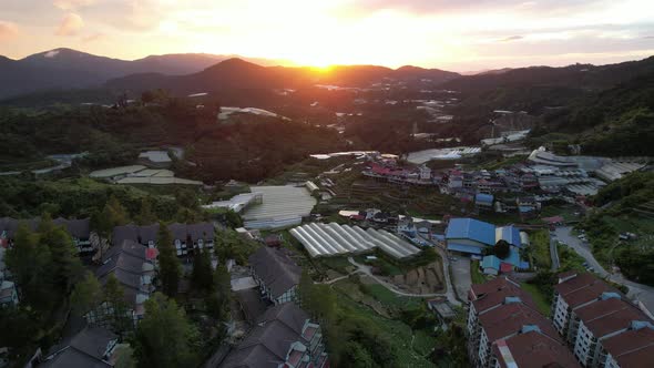 Cameron Highlands, Pahang Malaysia