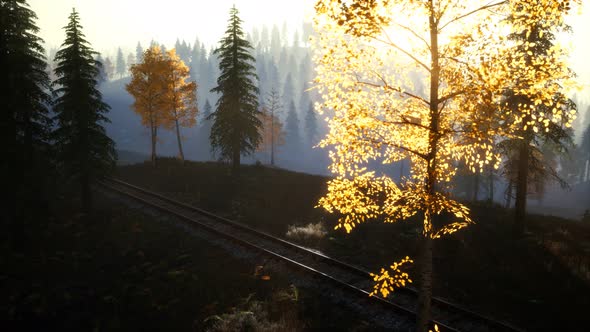 National Forest Recreation Area and the Fog with Railway alt