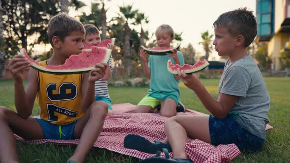 Four School Children Eating Watermelon Outdoor at Summer Time Happy Summer Concept