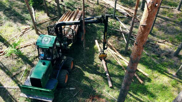 A Tractor Puts Tree Trunks Into Trailer While Working in Forest.