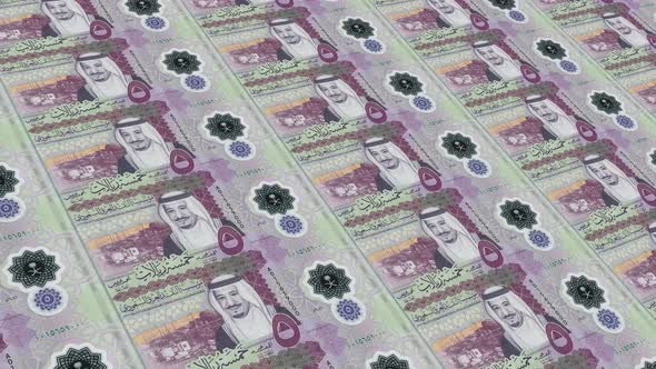 Saudi Arabia  Money / 5 Saudi Riyal 4K