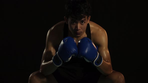 Asian Boxer Sitting And Looking At Camera