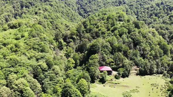 Flying Drone Over Green Mountains with Trees Landscape Top View From Above Aerial Shot Inspirational