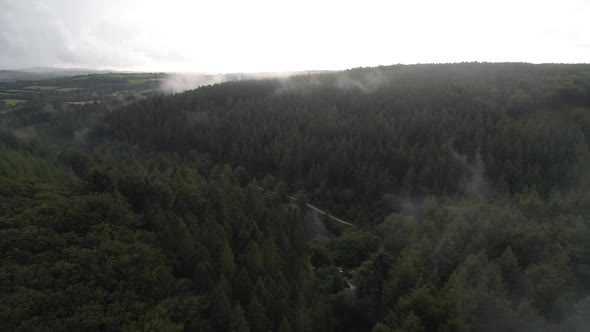 Aerial fly out shot of foggy woodland deep in the countryside