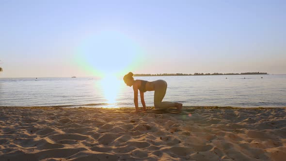 Barre Workout