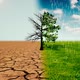 Drought And Green Background - VideoHive Item for Sale