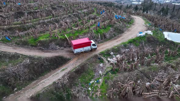 A car with bananas goes to the market aerial view