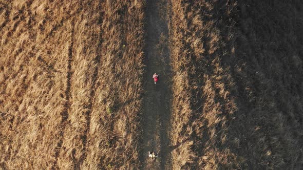 Top Down Aerial of Travelers Hiking at Burnt Mountain Grass