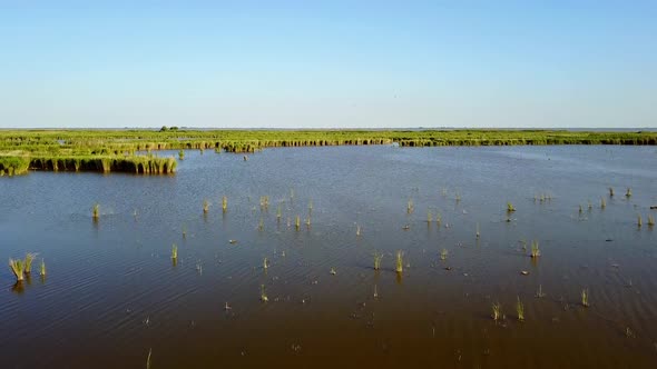 Endless Expanses Of Water And Reeds In The Danube Delta