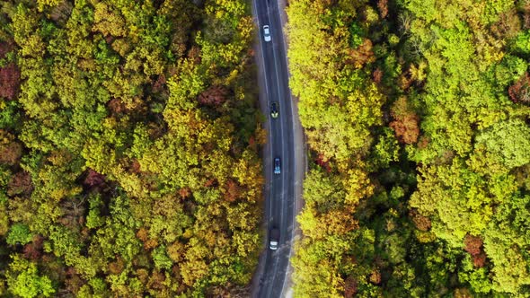 Automobiles Moving on Roadway in Wooded Area