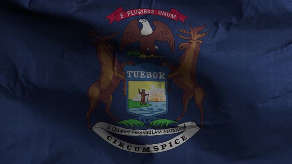 Michigan State Flag 4K