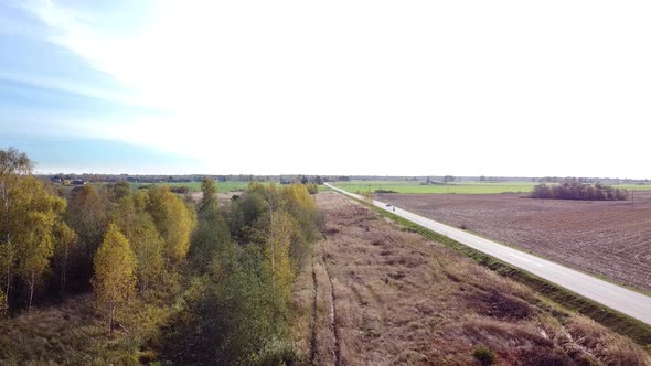 Drone over small country road with farming field on the one side and forest on the other. Lithuania