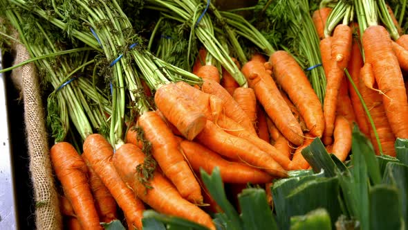 Close-up of vegetables in organic section