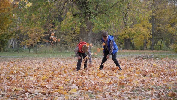 Boys Throw Fallen Autumn Leaves at Each Other.