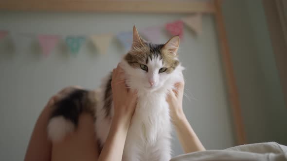 Young Woman Lies on Bed Blanket and Caresses Fluffy Cat