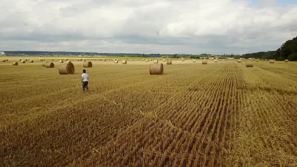 Happy Child In Field. Adorable kid boy spending time in a field with straw