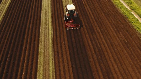 Tractor Cultivates the Land in the Field