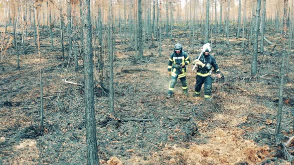 Two Firefighters are Walking Along the Woodland Fire Area