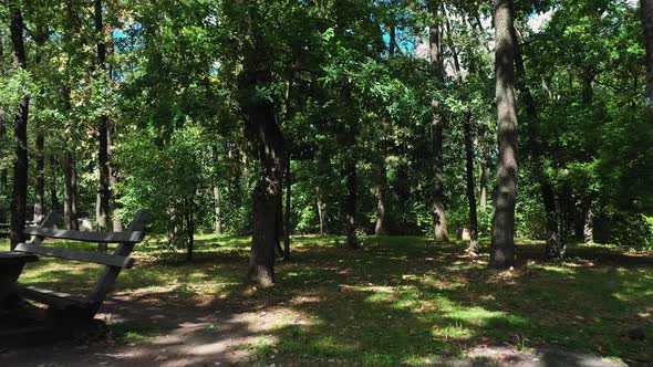 Rest and Snack Area with Wooden Picnic Tables and a Gazebo for Travelers in the Forest