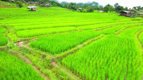 An aerial view over the beautiful rice terraces