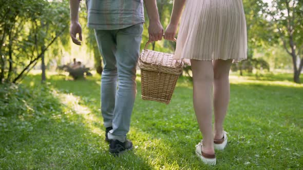 Couple in Love Carrying Wicker Basket Together, Choosing Place for Picnic, Date